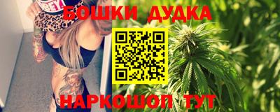 тгк Гай