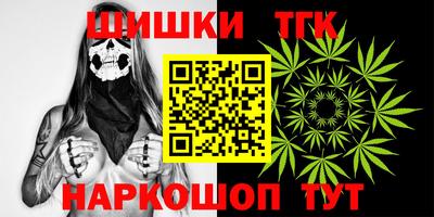тгк Гай